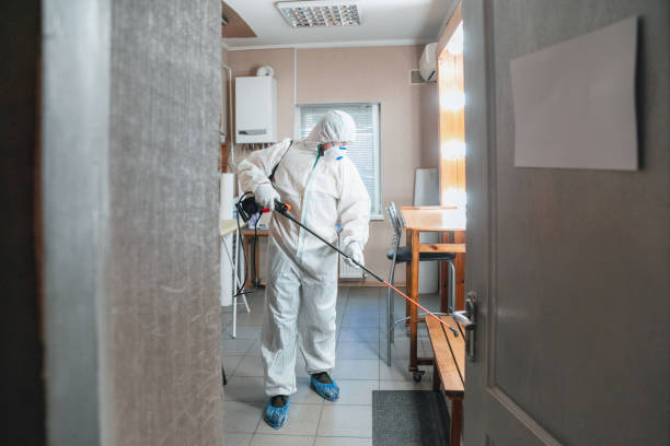 Best Comprehensive Air Testing for Mold Contaminants  in Newington, VA